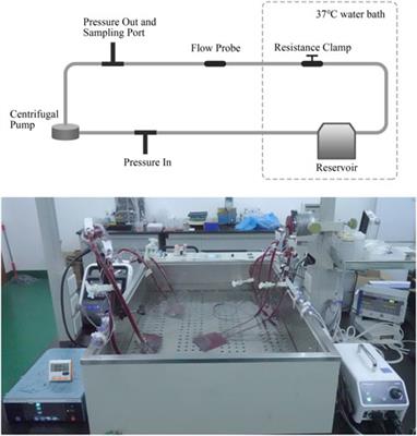 A comprehensive comparison of the in vitro hemocompatibility of extracorporeal centrifugal blood pumps